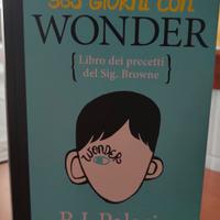 365 giorni con Wonder