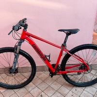 Biciclette Lombardo Sestriere