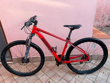 Biciclette Lombardo Sestriere