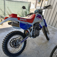 Xr 600
