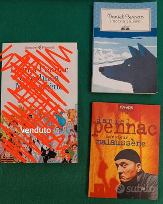 Lotto divisibile 2 libri Daniel Pennac