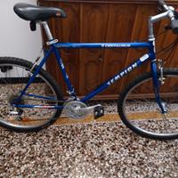 bicicletta mtb