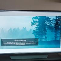 LG OLED 55 POLLICI