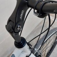 MTB Adriatica Boxter