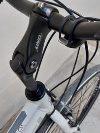 MTB Adriatica Boxter