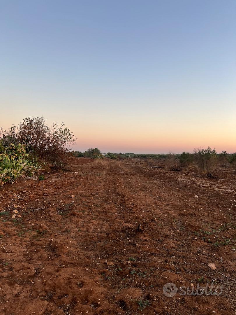Terreno agricolo 50aree circa 4500 - Vista 4