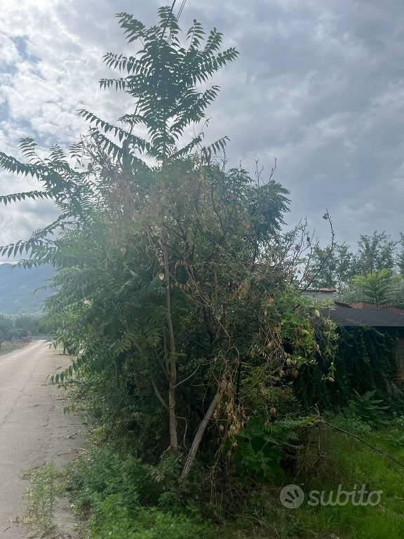 Terreno di 2700 m² a Sant'Anastasia - Vista 4