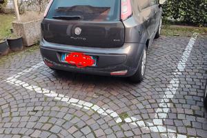 punto evo 