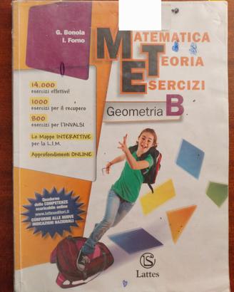 Matematica Teoria Esercizi Geometria B