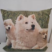Cuscino Samoiedo