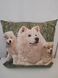 Cuscino Samoiedo