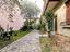 Immagine 12