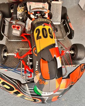 Kart Intrepid