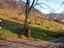 Immagine 6