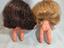 Immagine 6