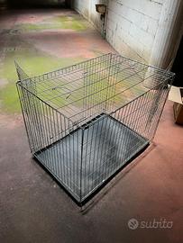 Kennel