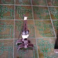 Antichissimi alari per caminetto