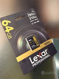 sd Lexar