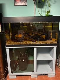 Acquario 250L + Accessori