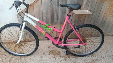 Mountain bike