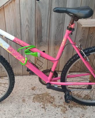 Mountain bike
