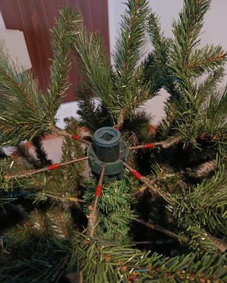 albero di natale 