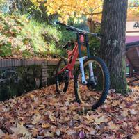 Moongose Boot r  Downhill 