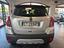 Immagine 6