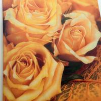 Quadro arancione con due rose