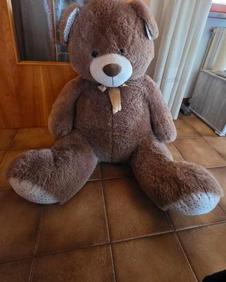 Orso gigante peluche 