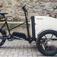 Cargo bike QUAKKA 250w