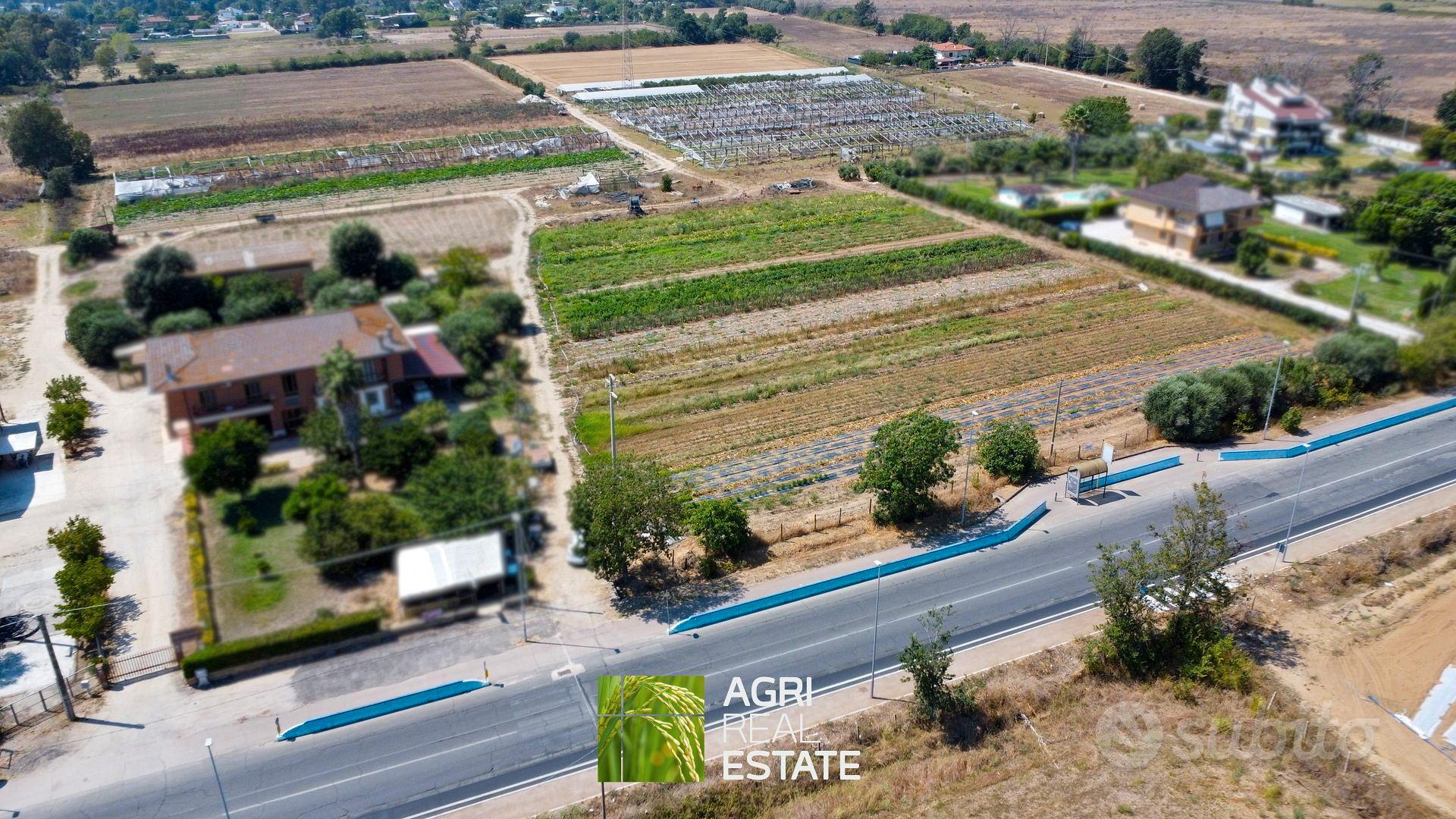 Terreno agricolo di 1 ettaro - Vista 4