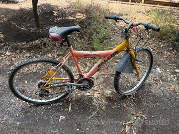Bicicletta Falcon