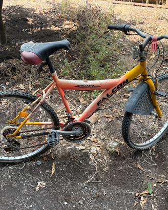 Bicicletta Falcon