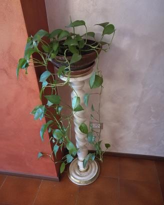 Colonna in legno a spirale da arredamento