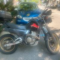 Honda Dominator 650