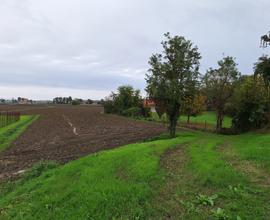 TERRENO AGRICOLO ROVERDICRE'