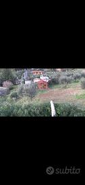 Terreno edificabile a farfa