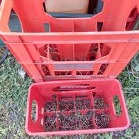 cestelli per pintoni