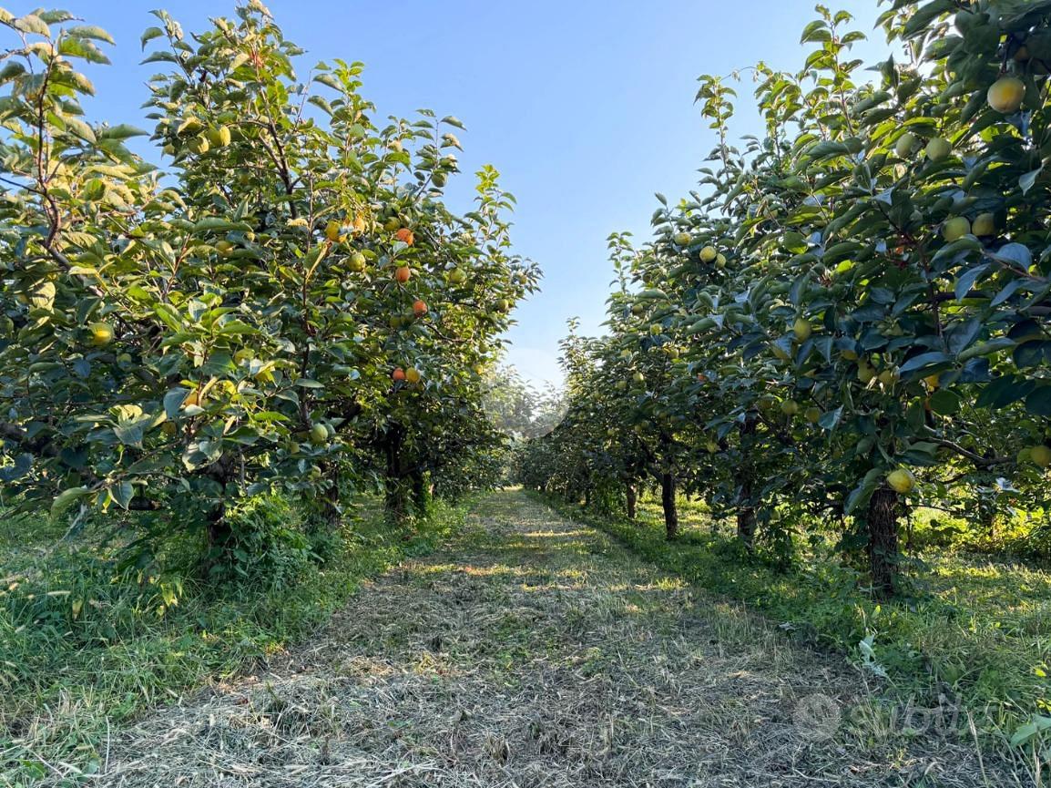 TER. AGRICOLO A CONCESIO - Vista 3