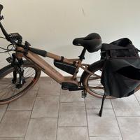 Lombardo Roma 9.5 man