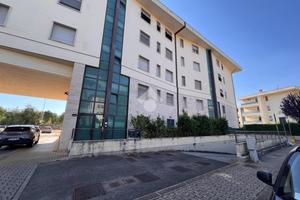 5 LOCALI A FIRENZE