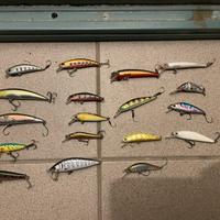 artificiali trota cavedano spinning