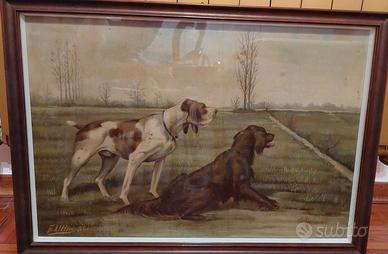 dipinto CANI DA CACCIA di F. Uttini-anno1931