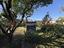 Immagine 14