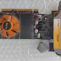 Scheda grafica Zotac GT520