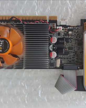 Scheda grafica Zotac GT520