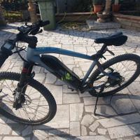 mountainbike elettrica 