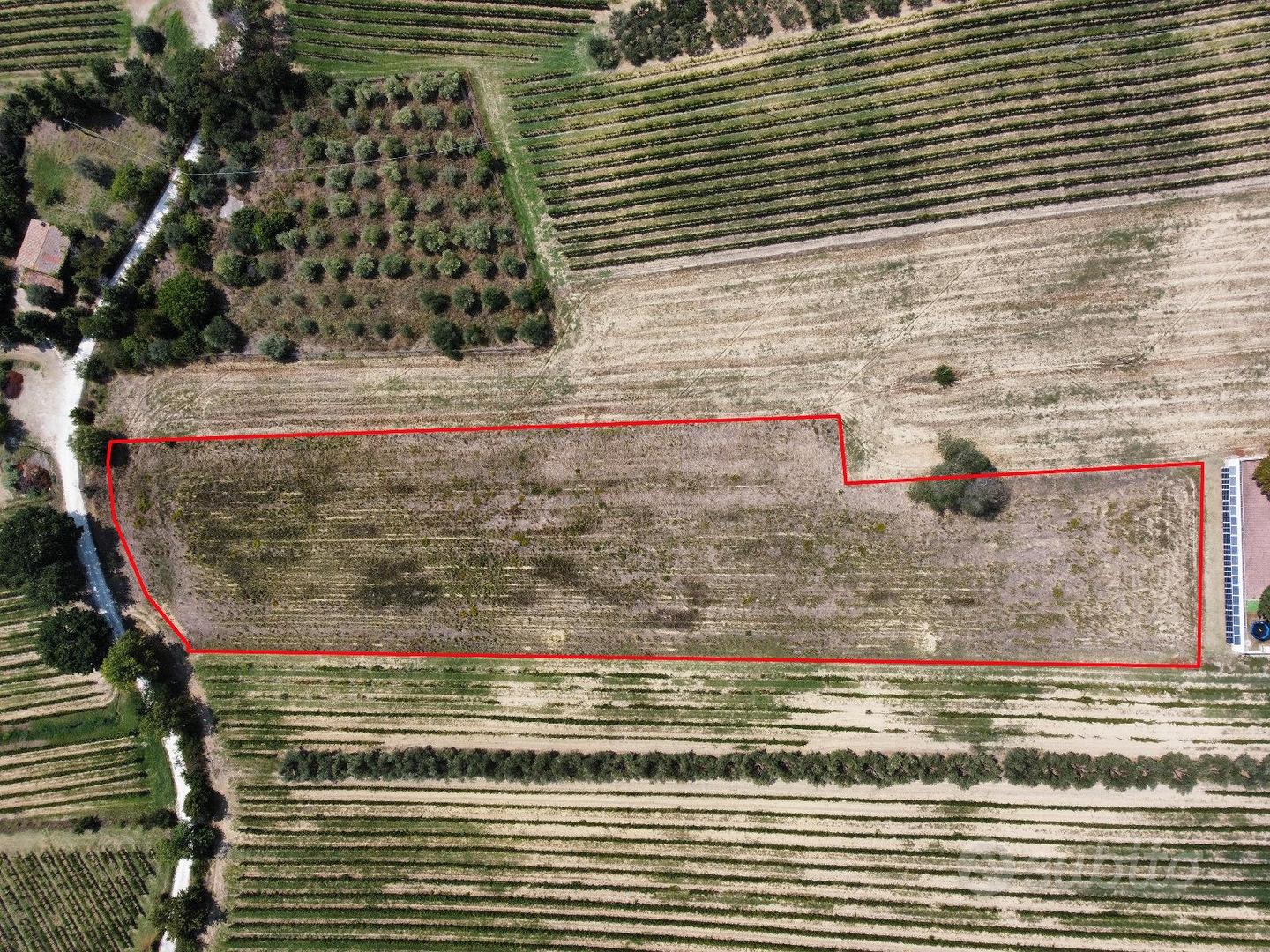 Terreno agricolo zona Morro d'Alba - Vista 3