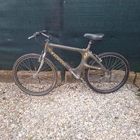 FIOCCO CARBIKE – Carbonio